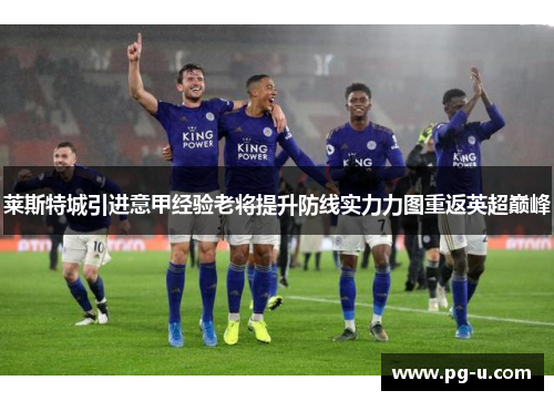 莱斯特城引进意甲经验老将提升防线实力力图重返英超巅峰 莱斯特城引进意甲经验老将提升防线实力力图重返英超巅峰